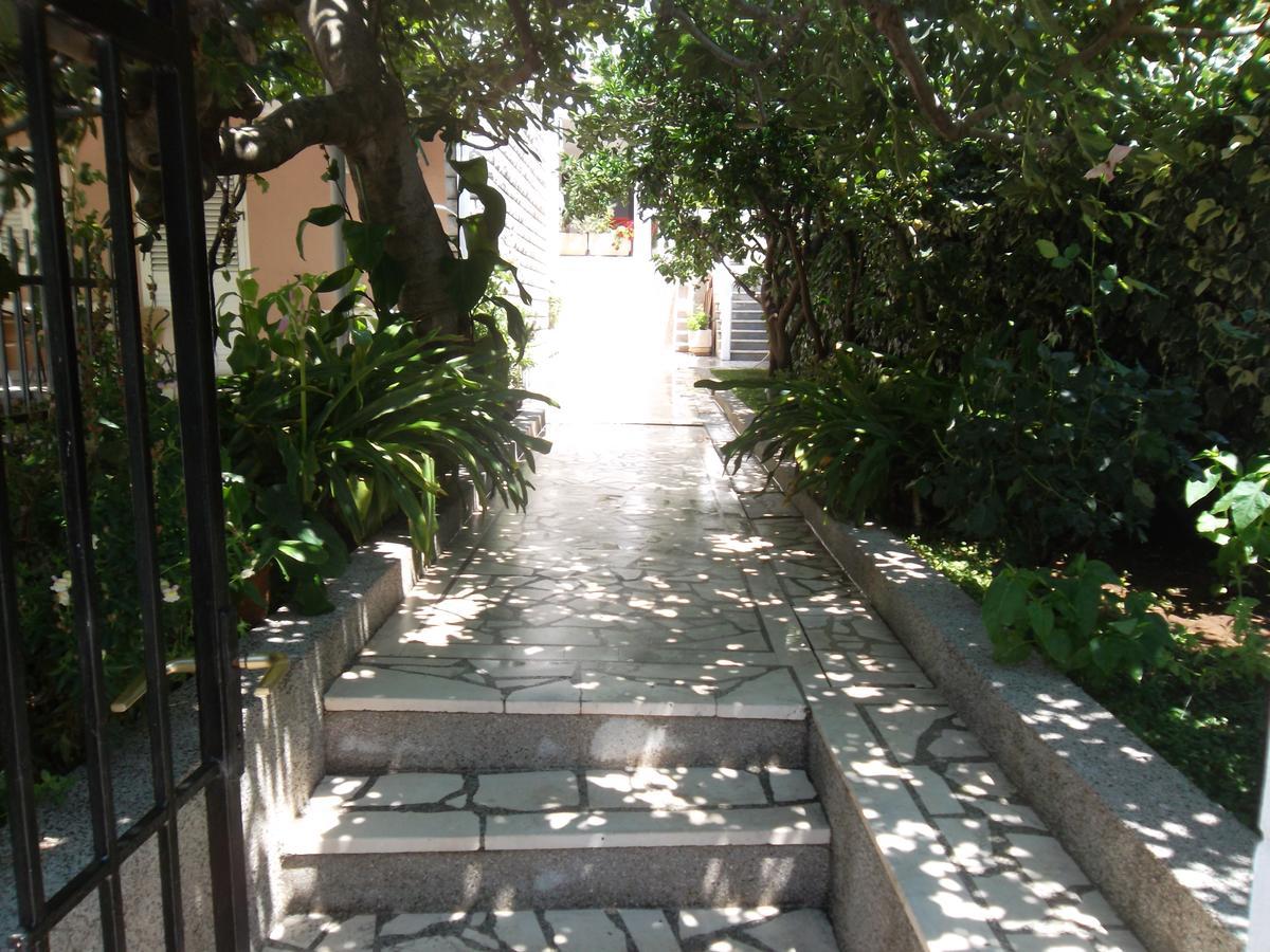 Guest House 4M Petrovac Bagian luar foto